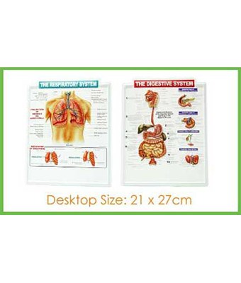Desktop Pop-Up Medical Chart - Tredan Connections