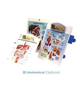 3D Anatomical ClipBoard - Tredan Connections