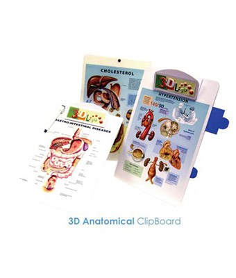 3D Anatomical ClipBoard - Tredan Connections