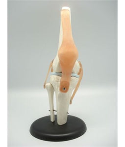 Knee Joint - Tredan Connections